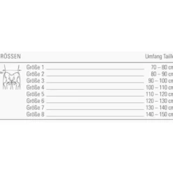 Rückenbandage Bort LumboXpress
