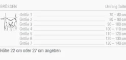 Rückenorthese Bort Generation